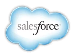 sales-force-300x230